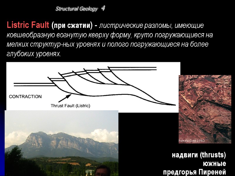 Listric Fault (при сжатии) - листрические разломы, имеющие ковшеобразную вогнутую кверху форму, круто погружающиеся